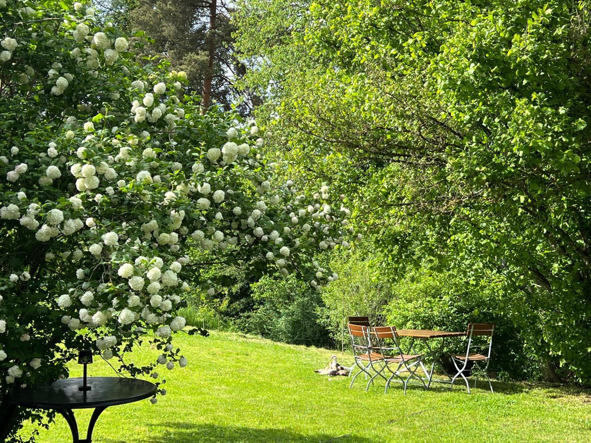 Hotel Hirsch Fluorn-Winzeln Exteriör bild